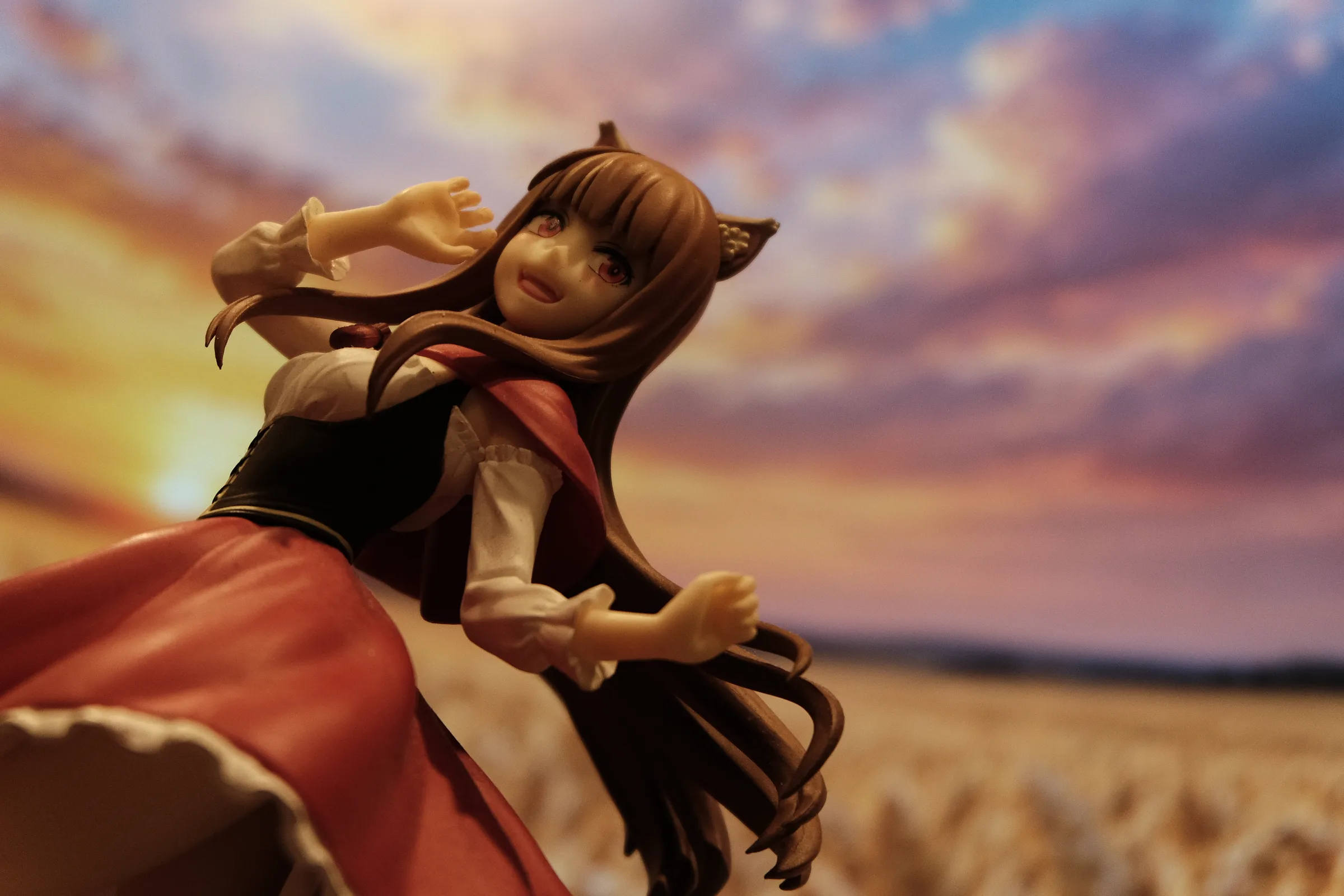 Holo the Wise Wolf
