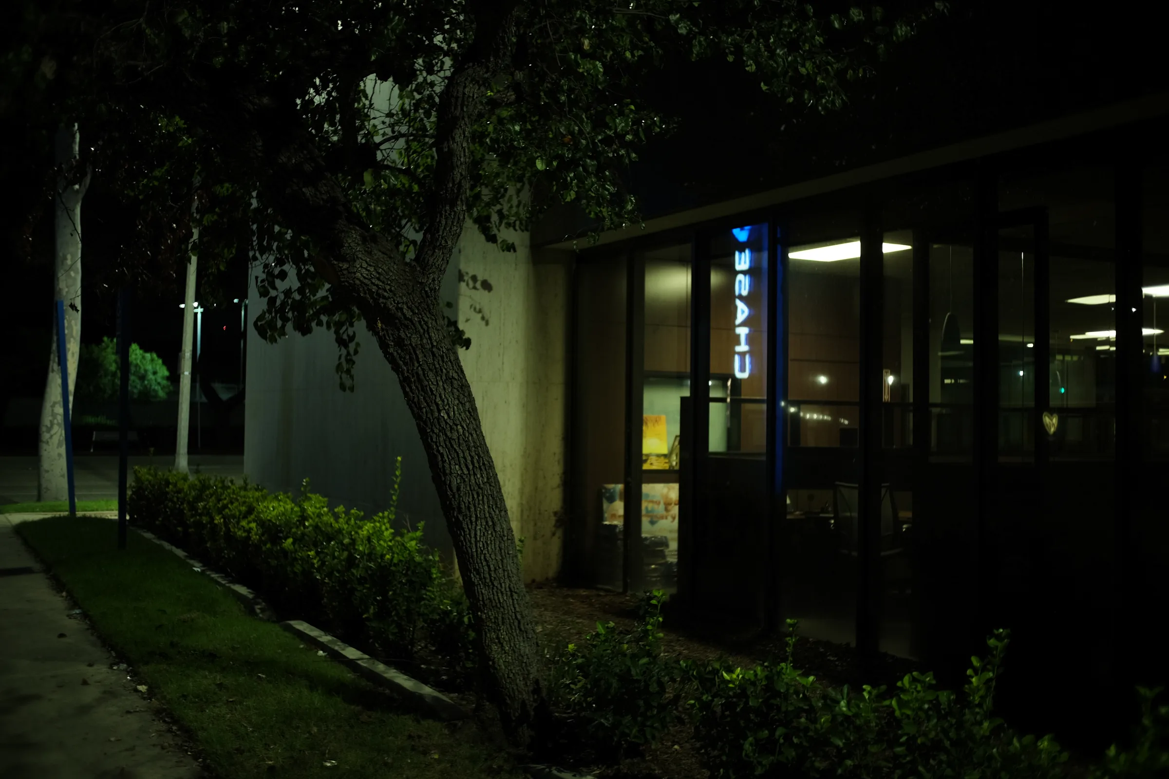 untitled_nightwalk