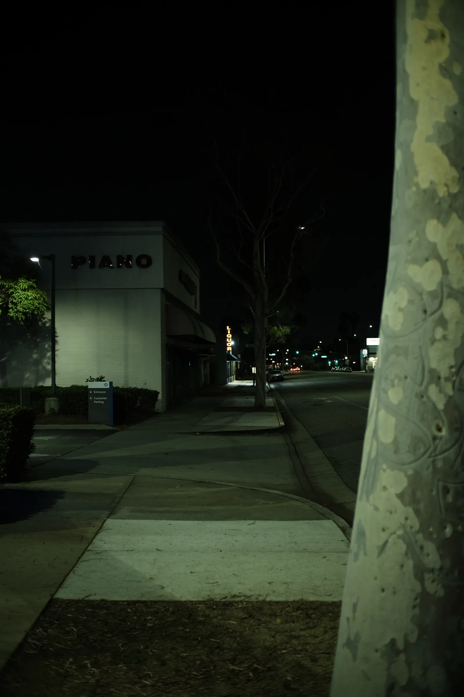 untitled_nightwalk