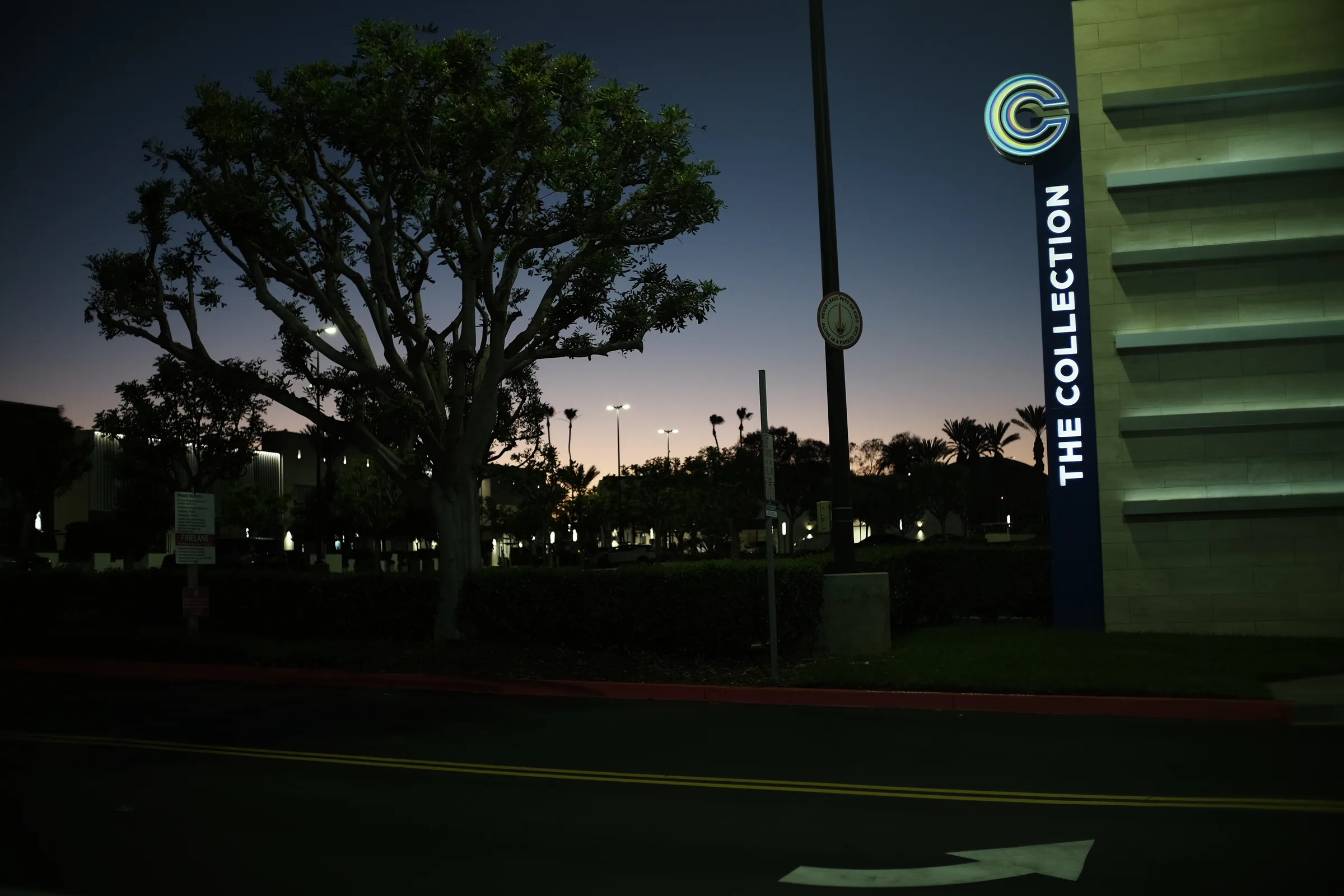 untitled_nightwalk